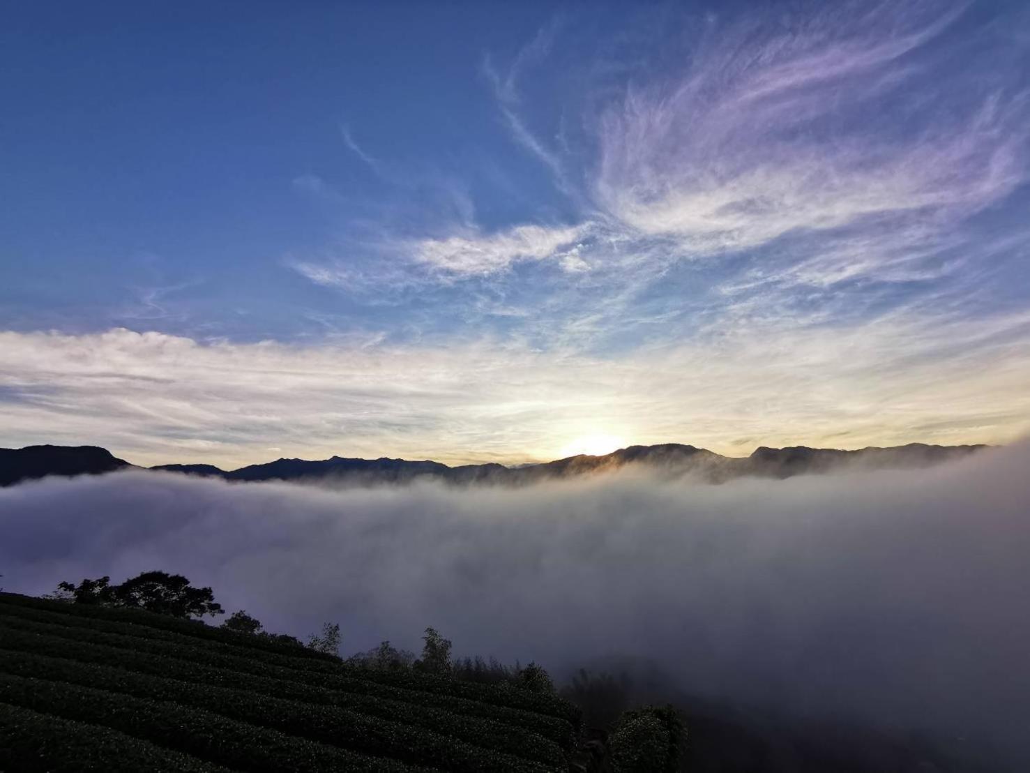 Alishan Tea Garden B&B Fenchihu Esterno foto