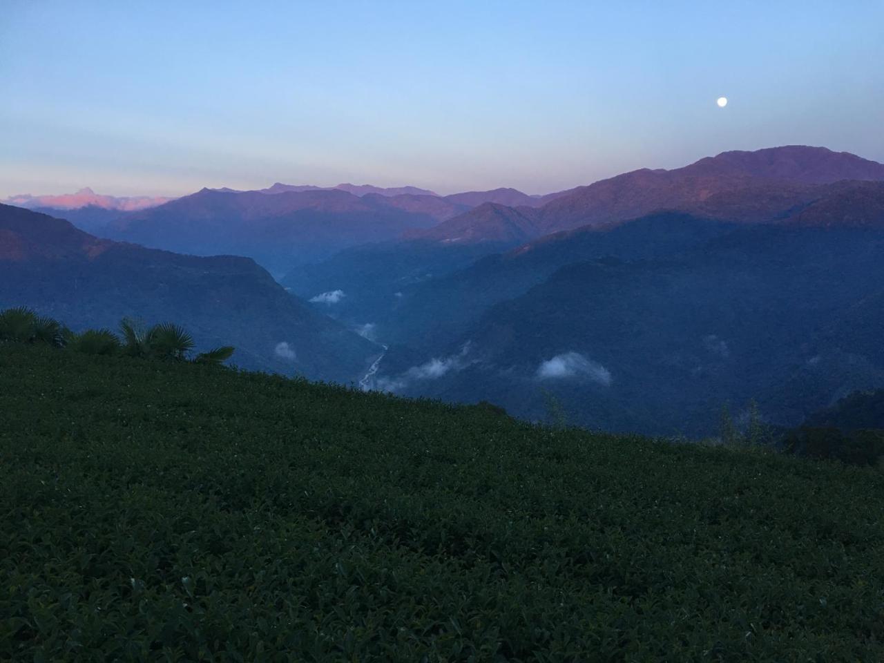 Alishan Tea Garden B&B Fenchihu Esterno foto